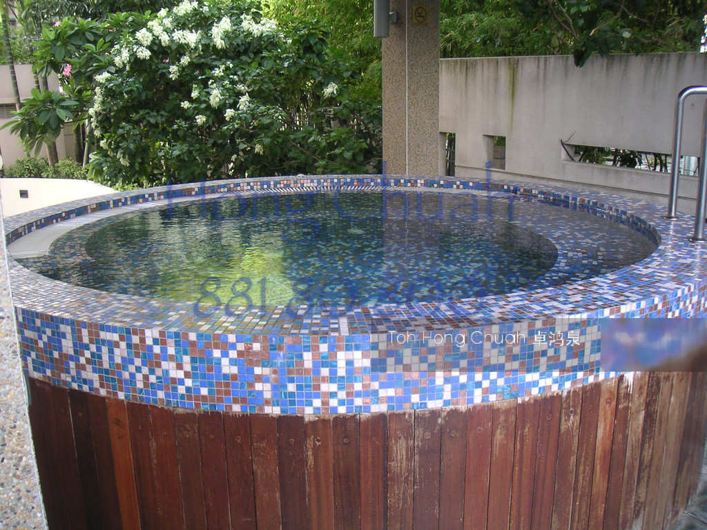 The Springs (D11), Apartment #135349362